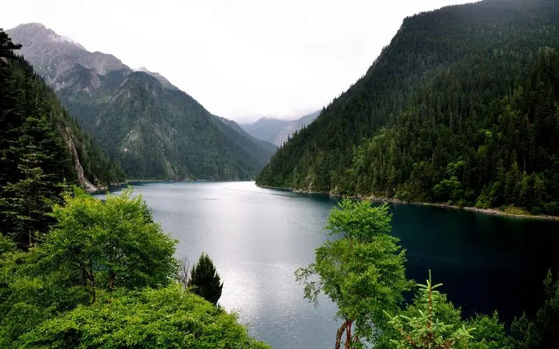 网络化精密电子